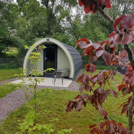 Mount Hillary Holiday Pods Корк Екстер'єр фото